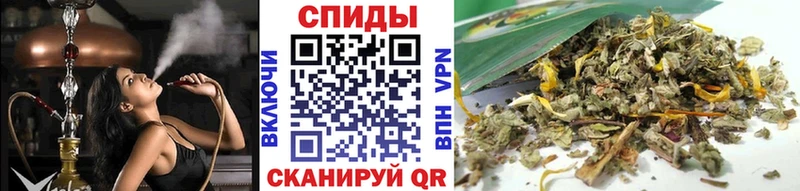 купить   Баксан  Бутират 99% 