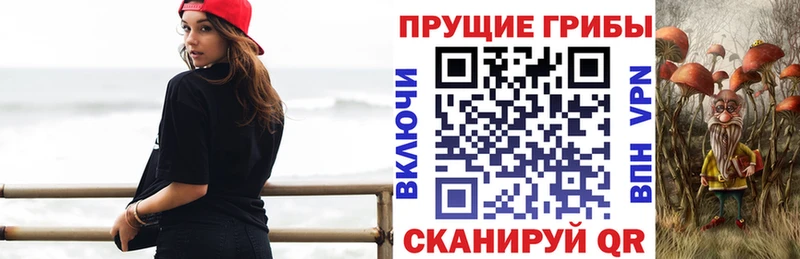 Псилоцибиновые грибы Psilocybe Баксан