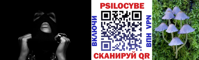 ОМГ ОМГ как зайти Баксан Псилоцибиновые грибы мухоморы как найти закладки